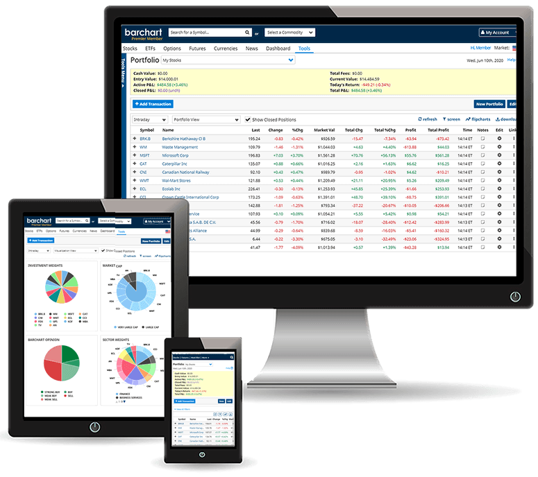 Build Portfolios to track your investments.